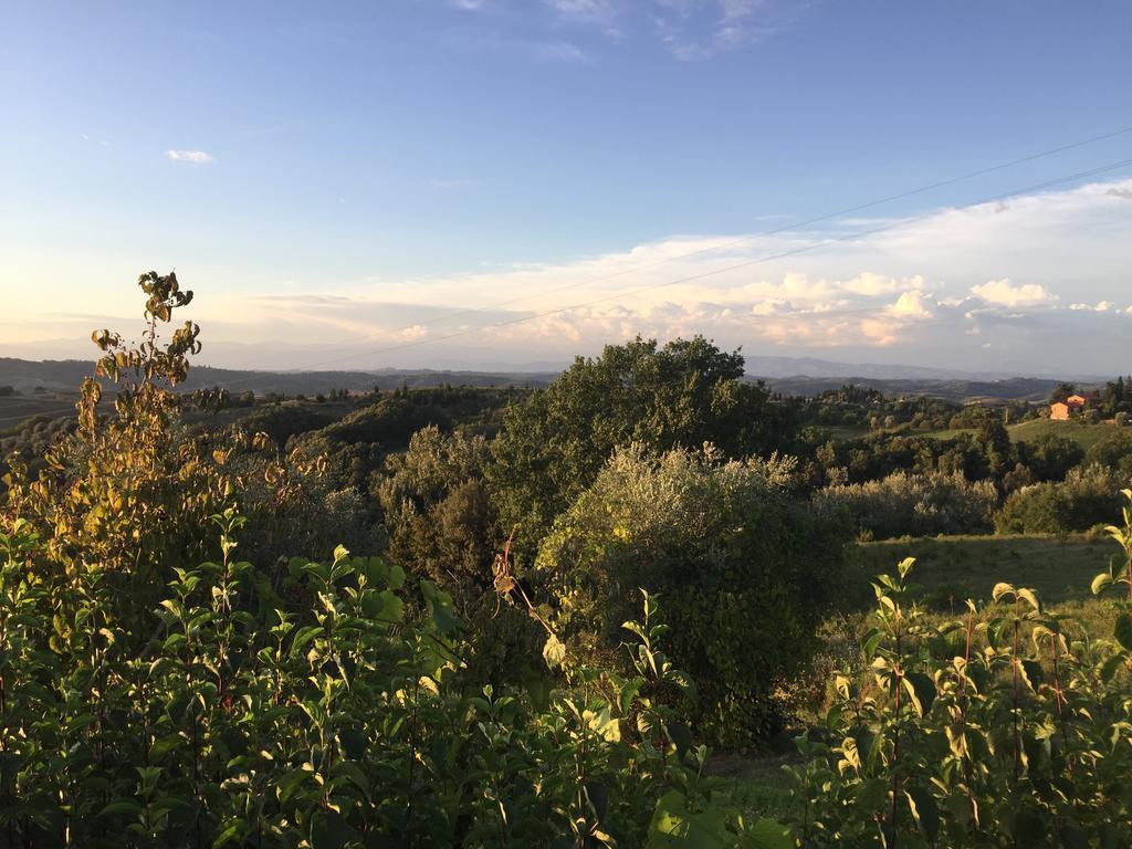 Da Tilli Alla Fornace - Agriturismo Montaione Luaran gambar
